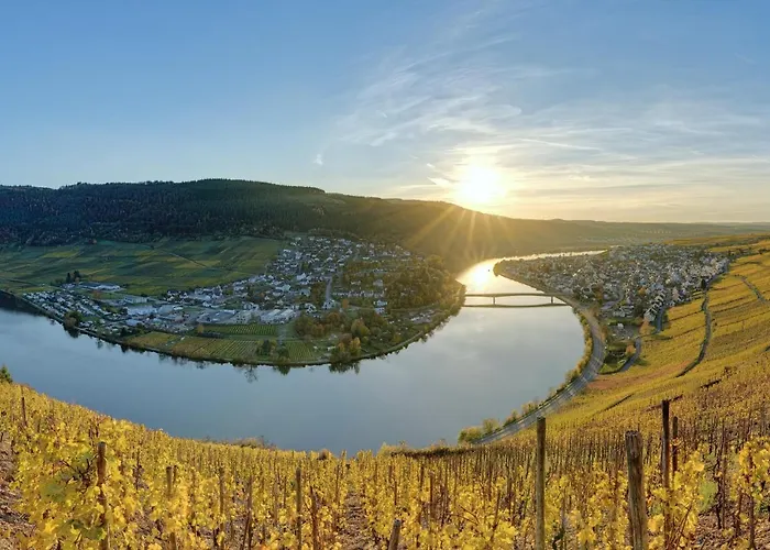 Flussbett - An Der Mosel *